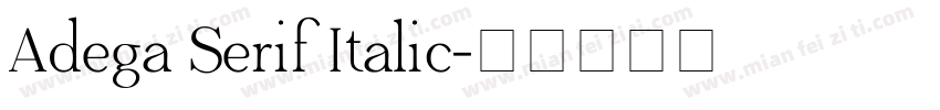 Adega Serif Italic字体转换